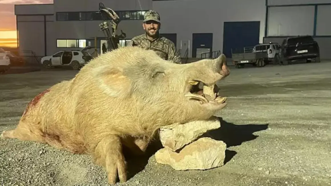 Cazador que abati&oacute; al jabal&iacute;