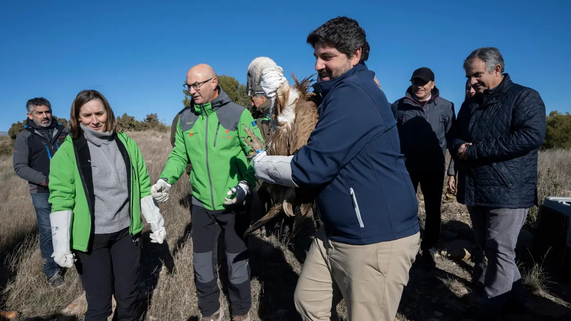 L&oacute;pez Miras libera dos ejemplares de buitre leonado en la sierra caravaque&ntilde;a de Mojantes