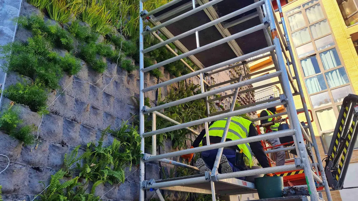 Caravaca crea el jard&iacute;n vertical m&aacute;s grande la Regi&oacute;n formado por m&aacute;s de dos mil plantas de veinte especies