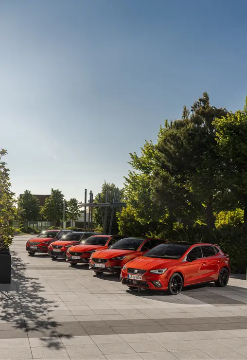 SEAT gama FR 75 Aniversario03
