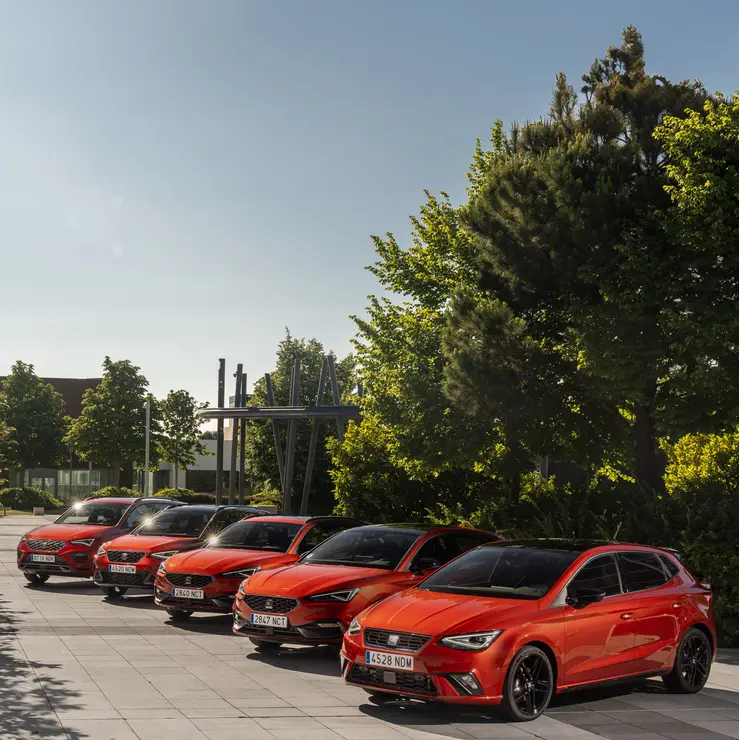 SEAT gama FR 75&ordm; Aniversario