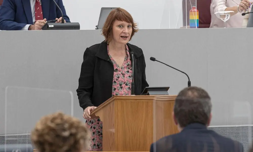 Mar&iacute;a Mar&iacute;n, portavoz de Podemos en la Asamblea (Foto: EP)
