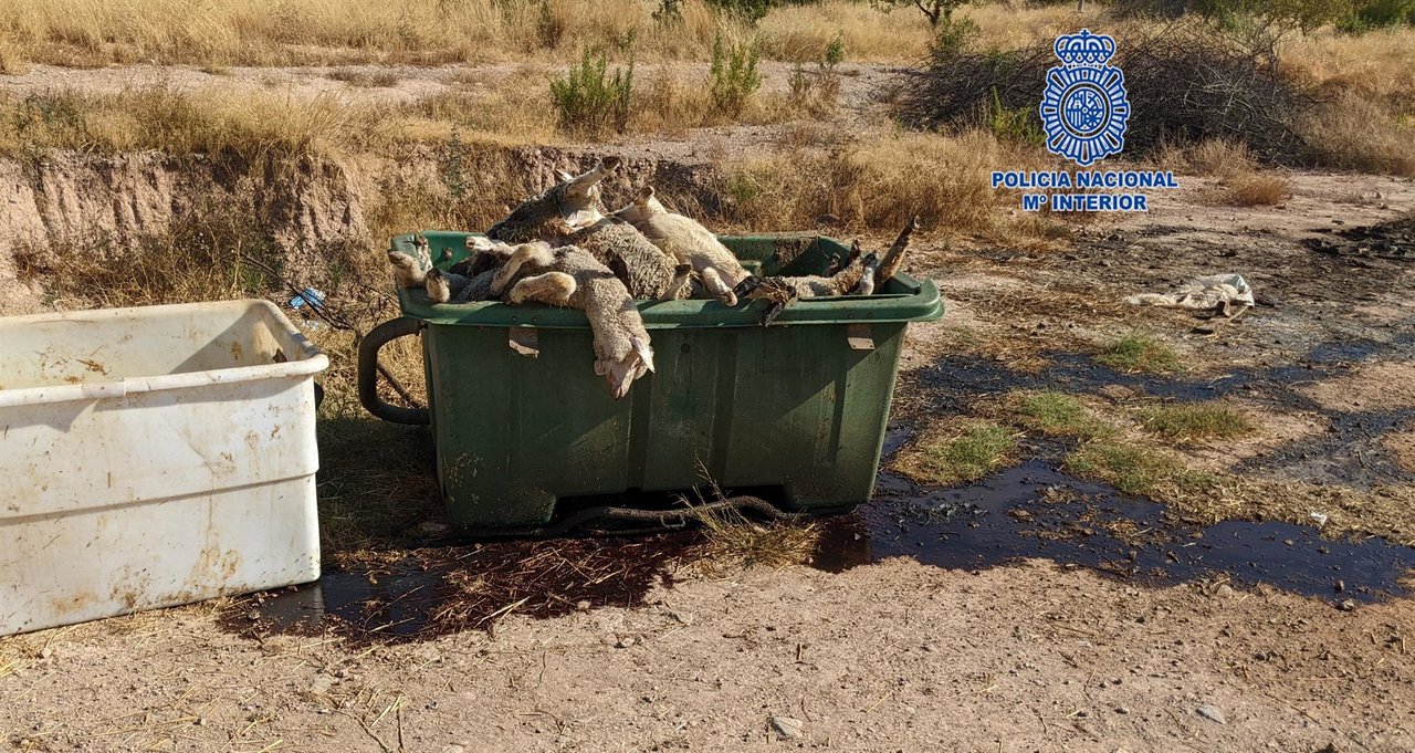 Animales muertos en una de las fincas investigadas | FOTO: POLICÍA NACIONAL |