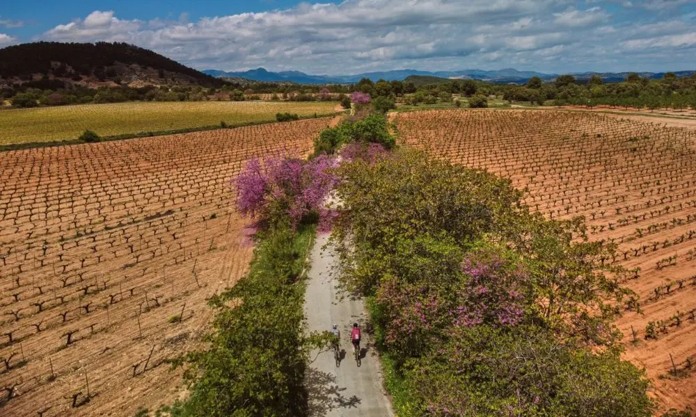 V&iacute;a verde del Noroeste (Foto: CARM)