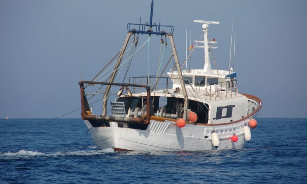 Barco pesquero (Foto: Archivo)