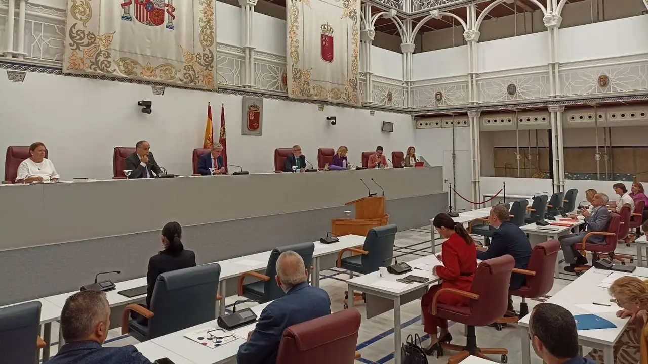 Sesi&oacute;n plenaria en la Asamblea Regional de Murcia (Foto: ARM)