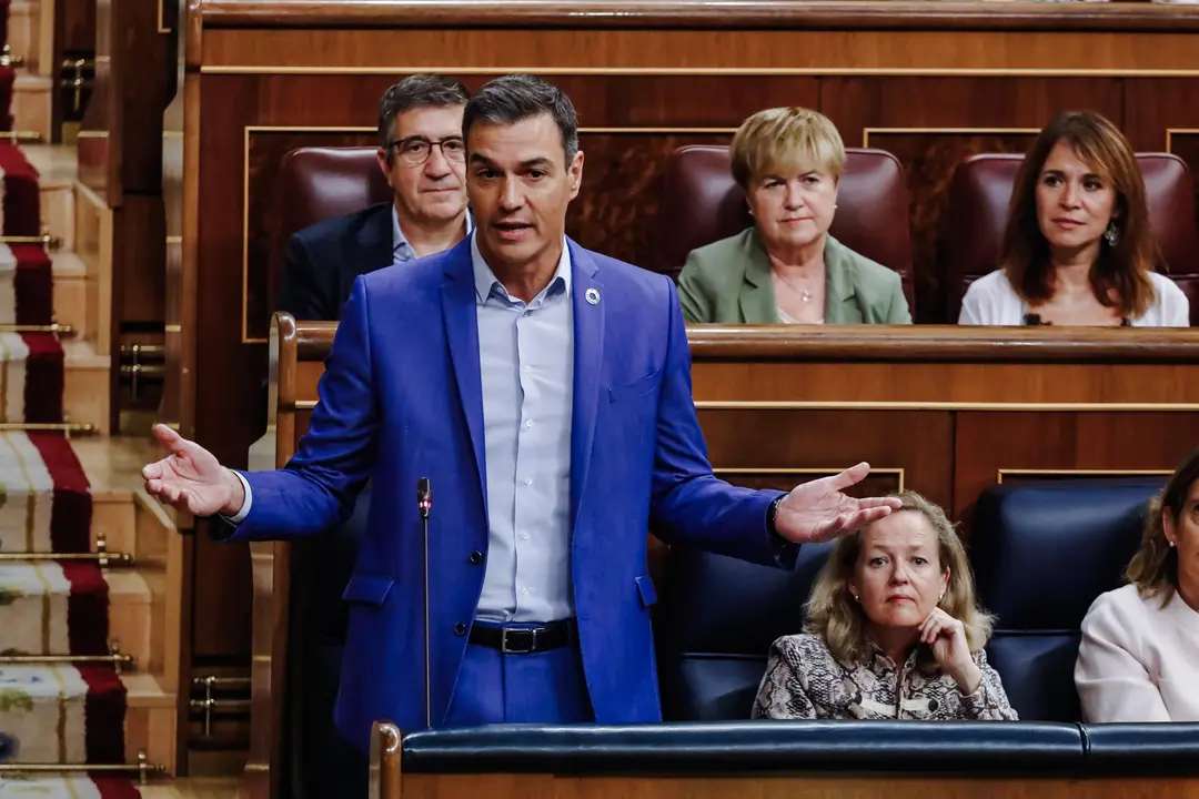 El presidente del Gobierno, Pedro S&aacute;nchez, interviene durante una sesi&oacute;n plenaria en el Congreso de los Diputados | FOTO: EUROPA PRESS