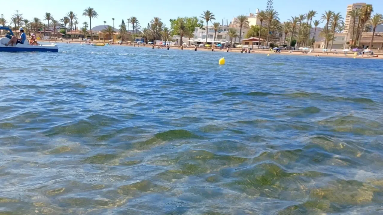 Campa&ntilde;a de an&aacute;lisis de los niveles de ox&iacute;geno del Mar Menor (Foto: CARM)