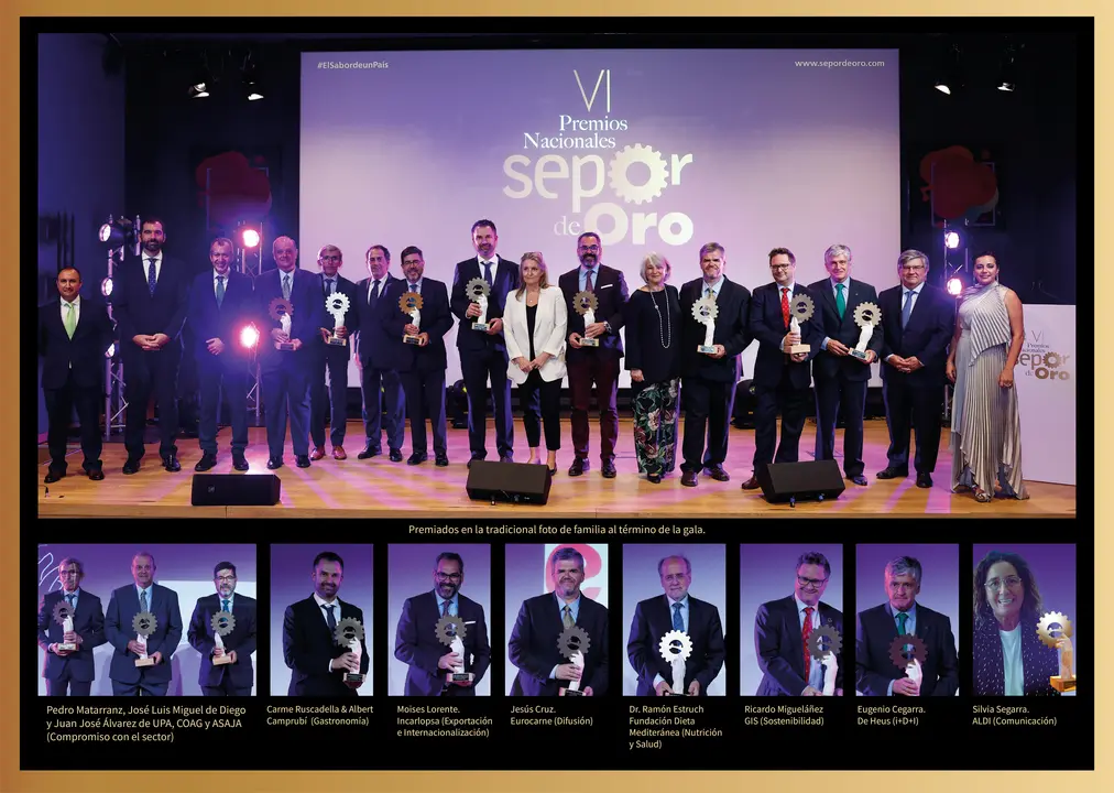 Imagen de los premiados en la gala del la VI Edici&oacute;n de los Premios Nacionales Sepor de Oro. | FOTO: SEPOR DE ORO