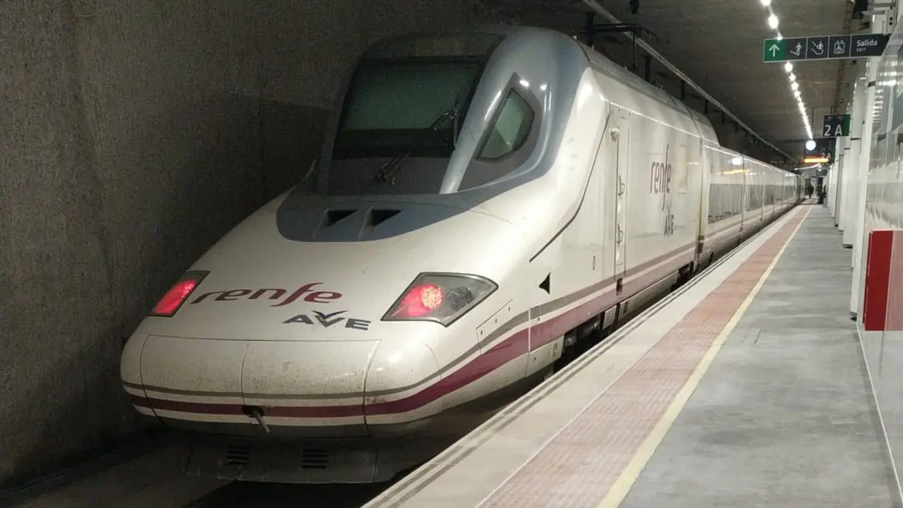 AVE en la Estaci&oacute;n del Carmen