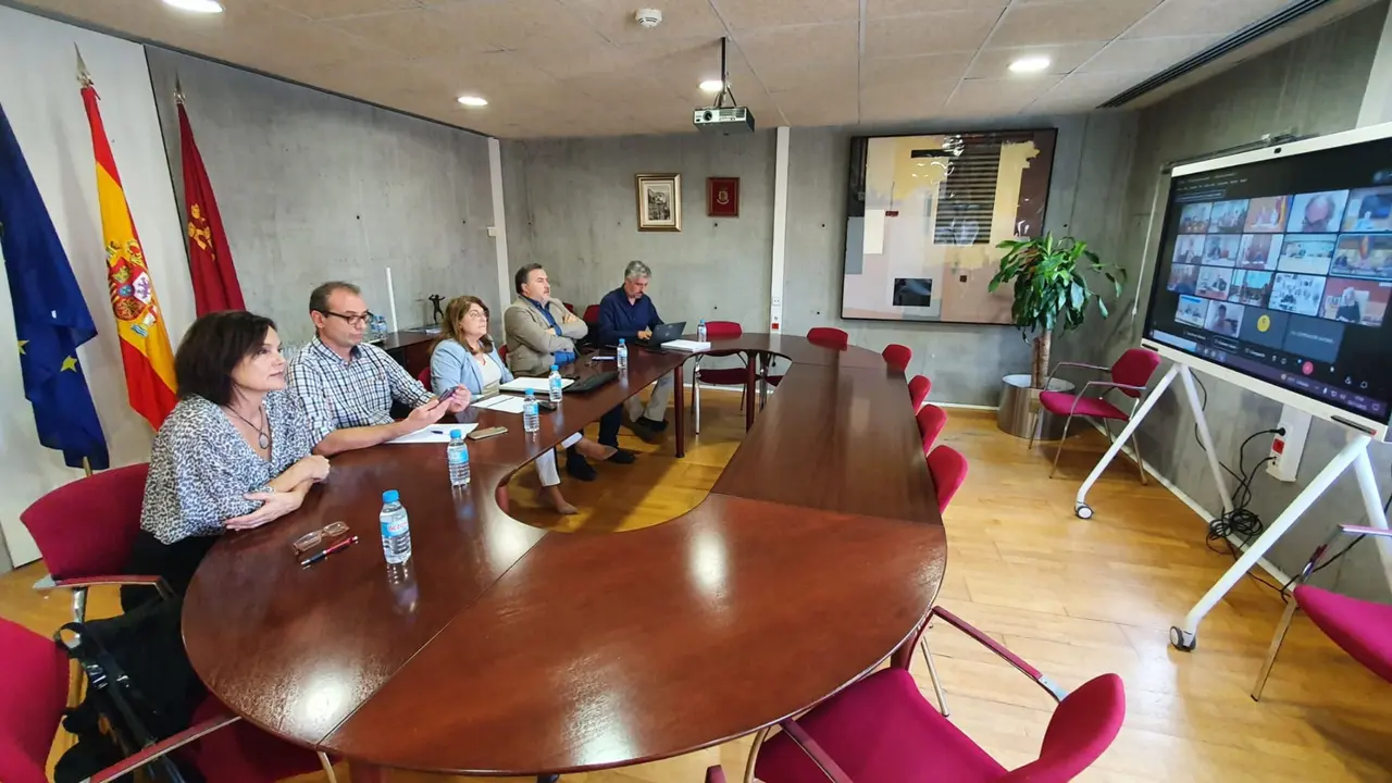 La consejera de Educaci&oacute;n, Mar&iacute;a Isabel Campuzano, acompa&ntilde;ada de su equipo, durante la Conferencia Sectorial de Educaci&oacute;n celebrada esta tarde por videoconferencia.