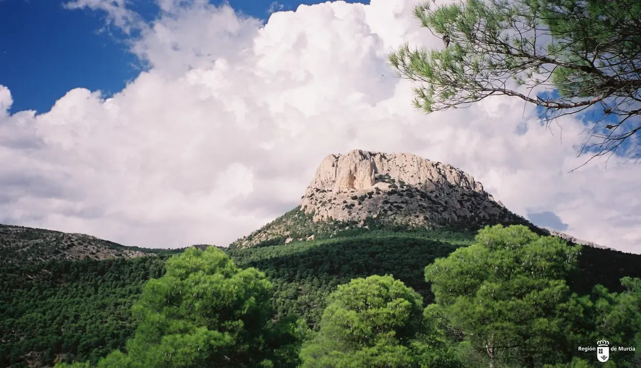 Sierra Espu&ntilde;a