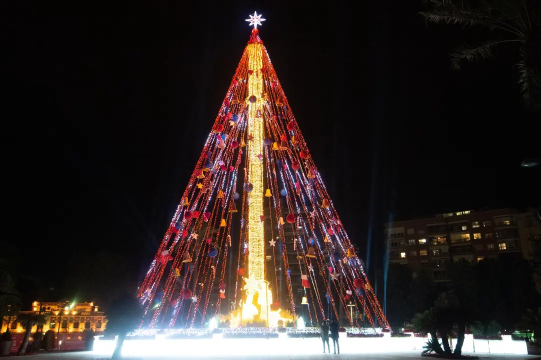 &Aacute;rbol Plaza Circular de Murcia