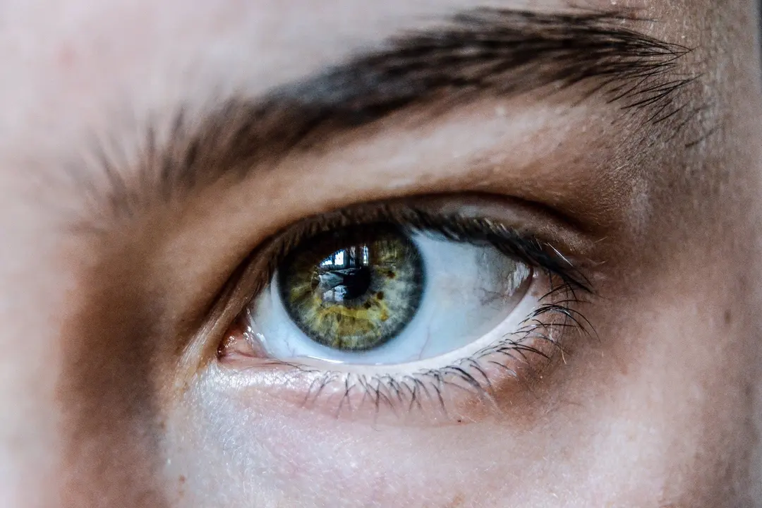 Ojo humano (foto. CESIC)