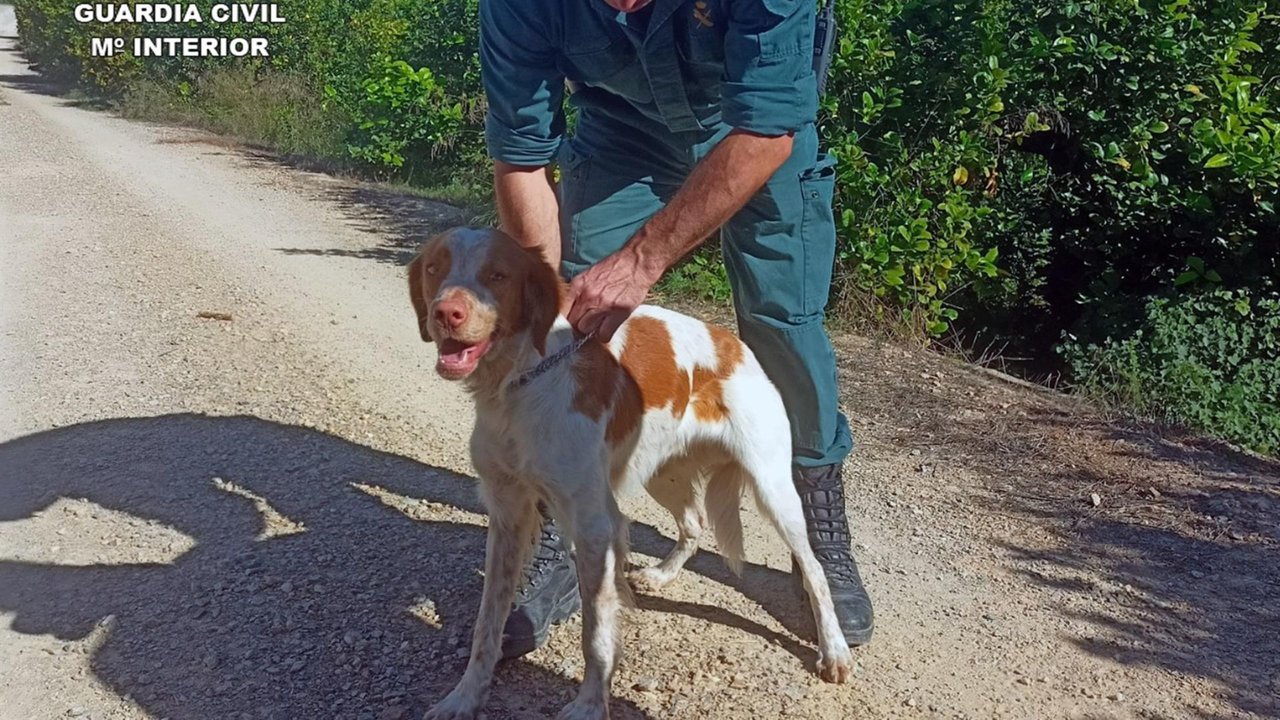 Perro rescatado junto a su salvador en Librilla (Foto: Guardia Civil)