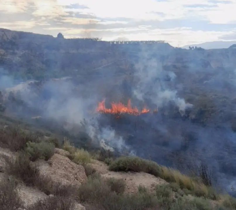 Incendio declarado en el cauce de la rambla de El Tinaj&oacute;n, en Molina de Segura (foto: '1-1-2' Regi&oacute;n de Murcia)