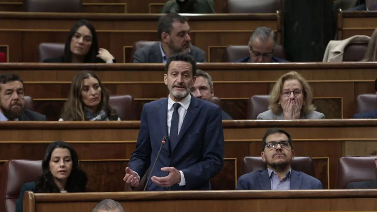 Edmundo Bal, en el Congreso (foto: Congreso de los Diputados)