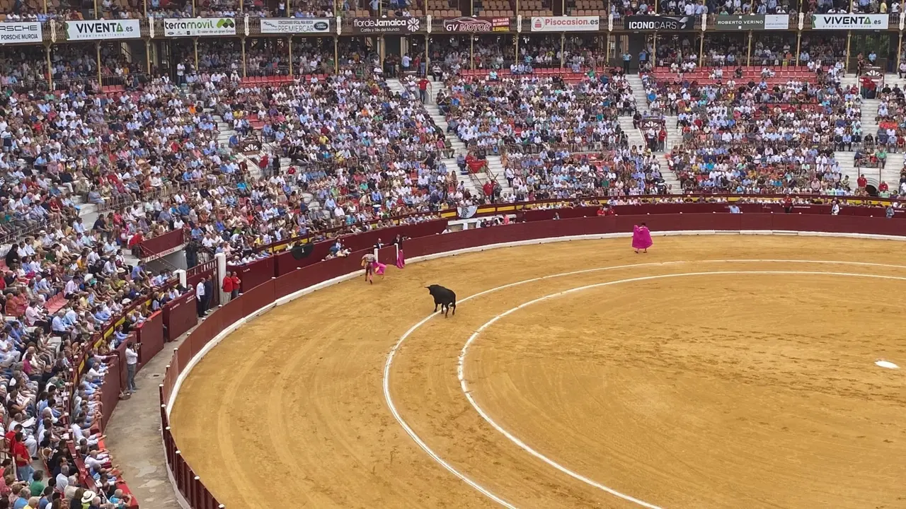 Toros