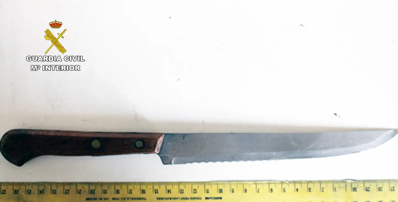 Detenidos los presuntos atracadores de varios hoteles en San Javier (foto: Guardia Civil)