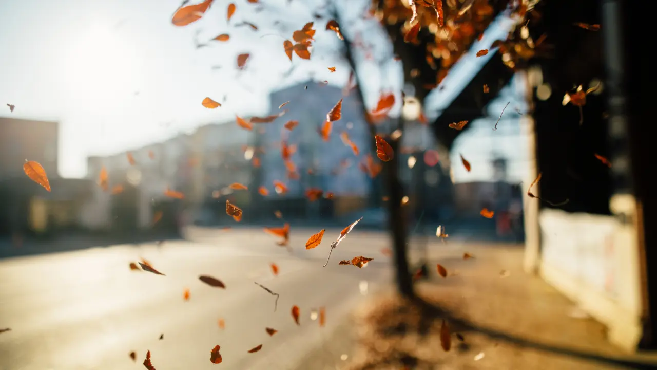 Oto&ntilde;o