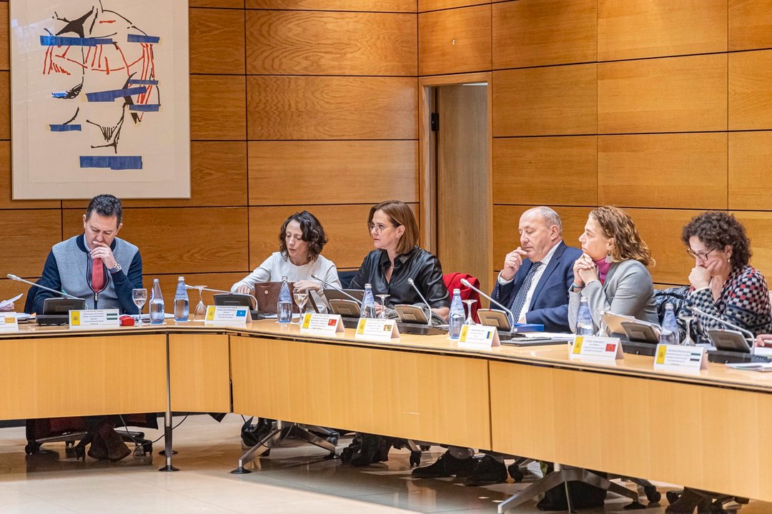 La vicepresidenta y consejera, Isabel Franco, en la reunión del Consejo Territorial de Servicios Sociales y del Sistema para la Autonomía y Atención a la Dependencia que se ha celebrado en Madrid (foto: Región de Murcia)