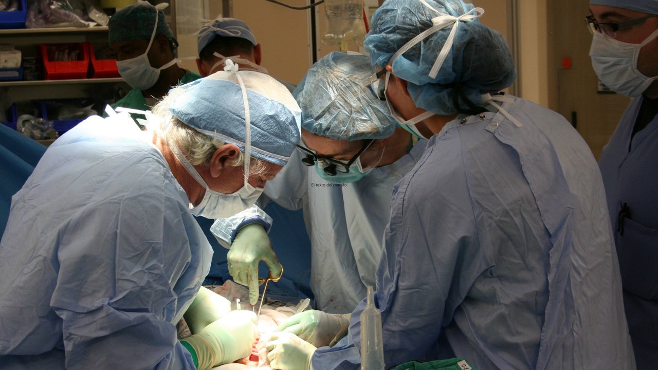Cirujanos en pleno trasplante