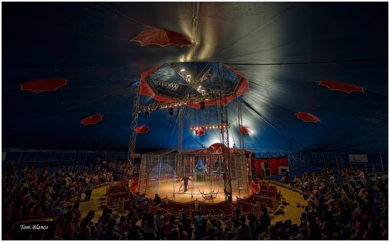 Imagen de archivo del Circo Alaska