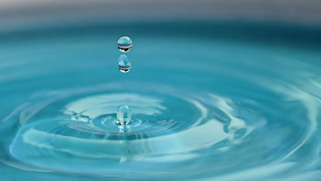 La Regi&oacute;n de Murcia es consolidada como un referente en la gesti&oacute;n eficiente del agua