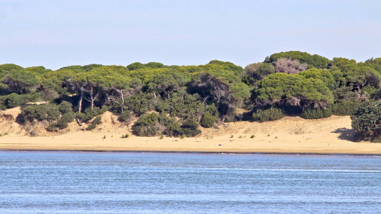 Parque nacional y natural de Doñana