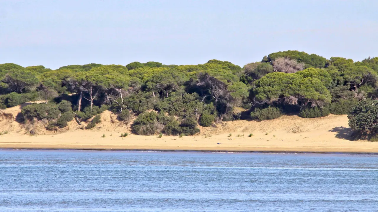 Parque nacional y natural de Do&ntilde;ana