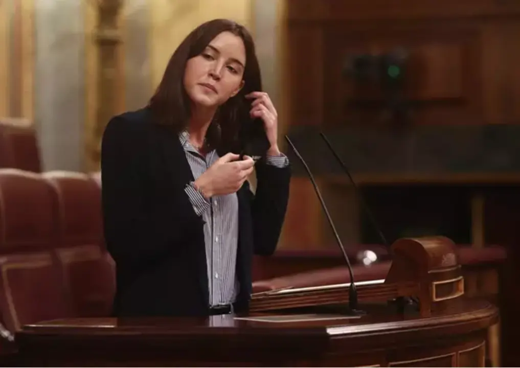 La diputada del PSOE, Andrea Fern&aacute;ndez interviene durante una sesi&oacute;n plenaria en el Congreso de los Diputados (foto: Europa Press)