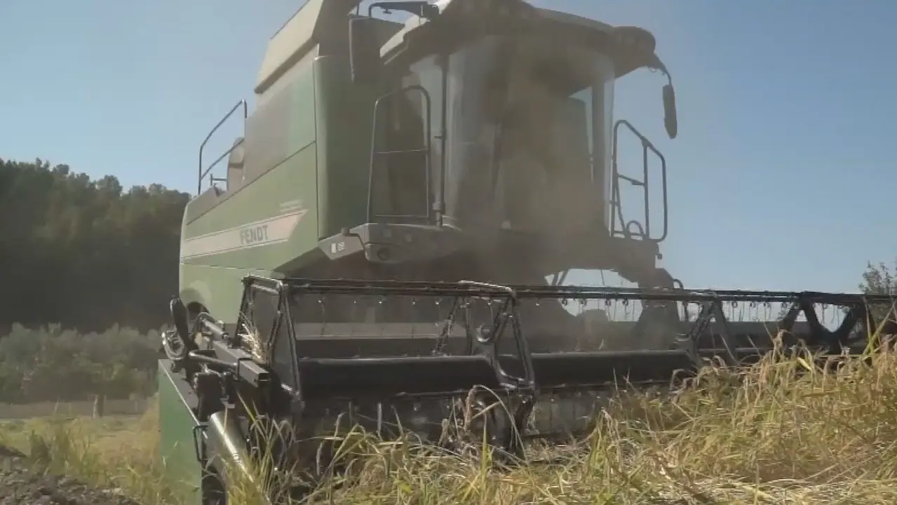 Agricultura (foto: La 7)