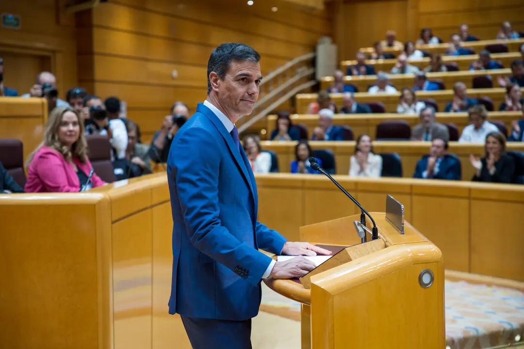 Pedro S&aacute;nchez