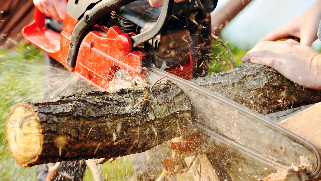 Motosierra (foto: La 7)