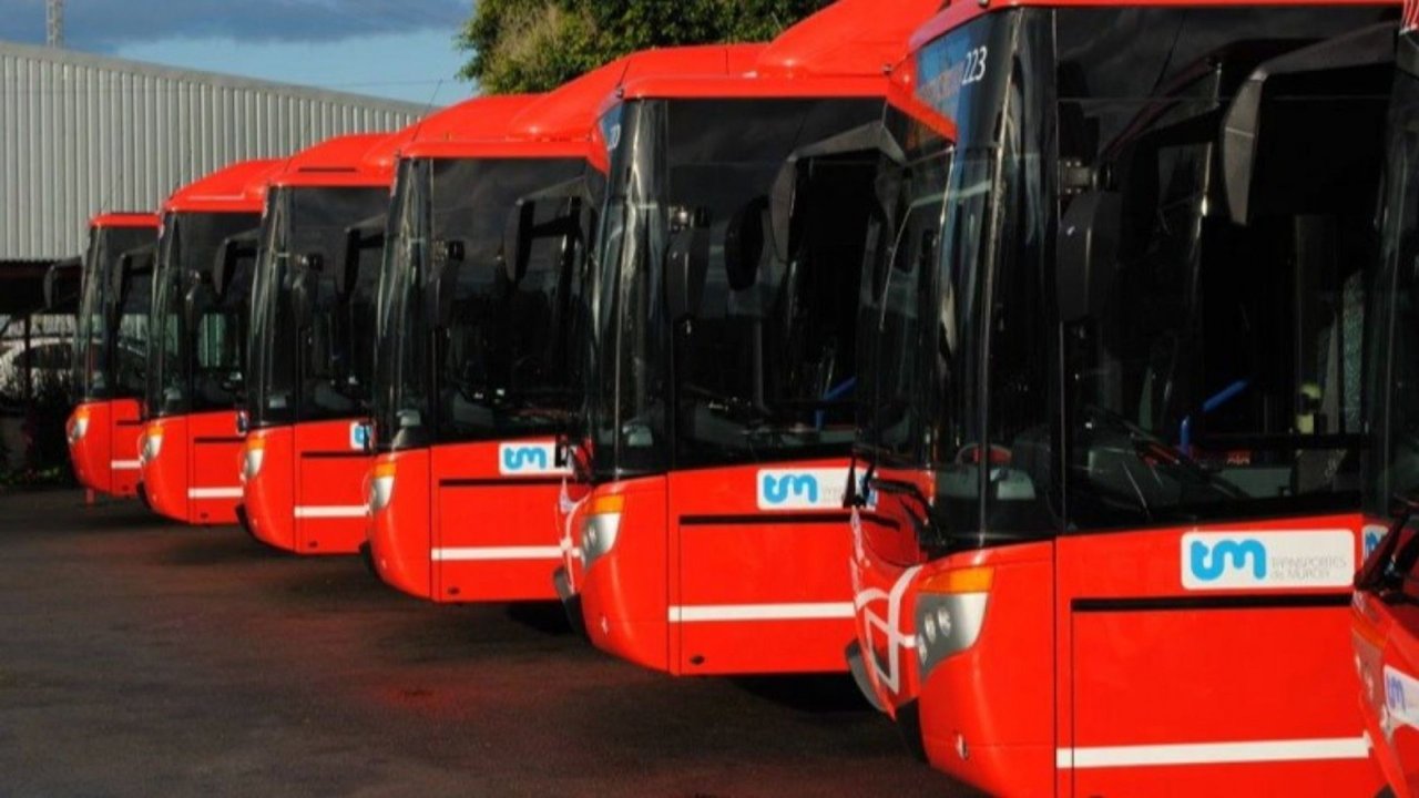 Autobuses 'coloraos' de Murcia