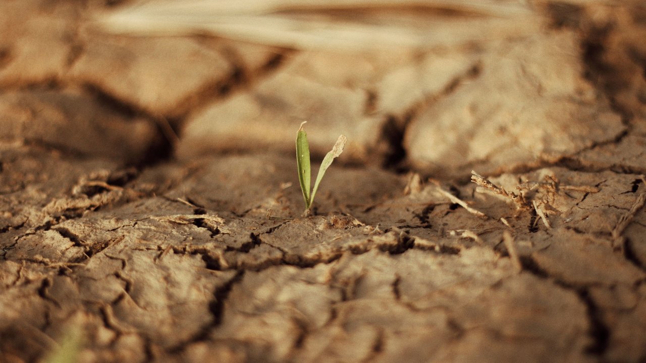 MURCIA.-El Gobierno se reúne hoy en un Consejo de Ministros extraordinario para tomar medidas sobre la sequía