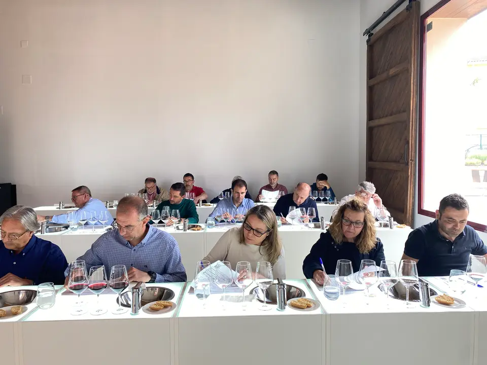 Imagen de la cata de calificaci&oacute;n de la a&ntilde;ada 2022 en la DOP Jumilla (foto: DOP Jumilla)