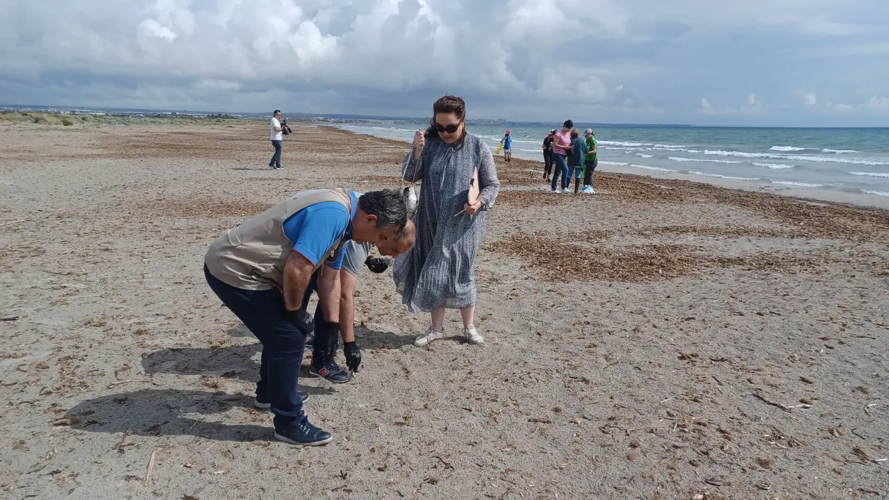 El consejero en funciones de Medio Ambiente, Mar Menor, Universidades e Investigaci&oacute;n, Juan Mar&iacute;a V&aacute;zquez, recoge residuos en Las Salinas de San Pedro del Pinatar junto a la directora general de Medio Natural, Mar&iacute;a Cruz Ferreira, y otros LIBERAdores.