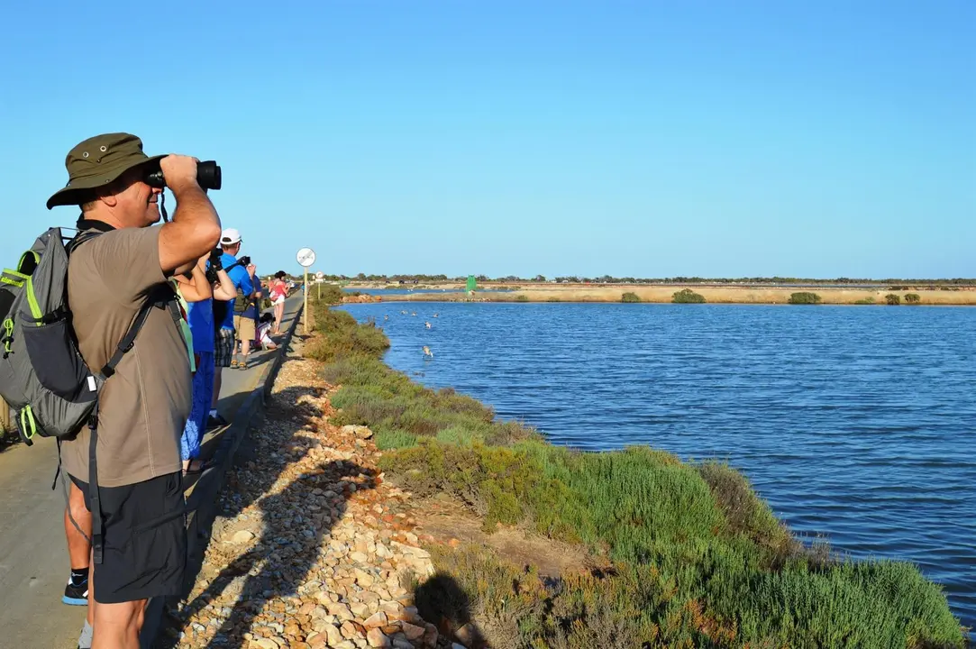 Turistas en el Parque Regional de Salinas (Ayto. de San Pedro del Pinatar)