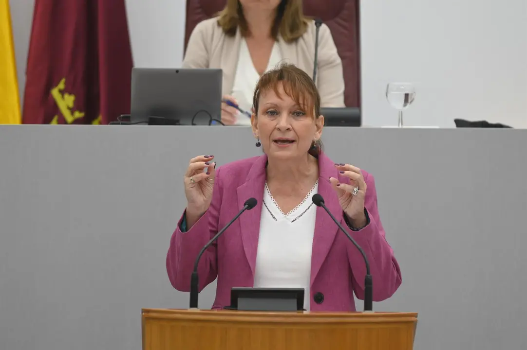 Mar&iacute;a Mar&iacute;n durante su intervenci&oacute;n en el debate de investidura