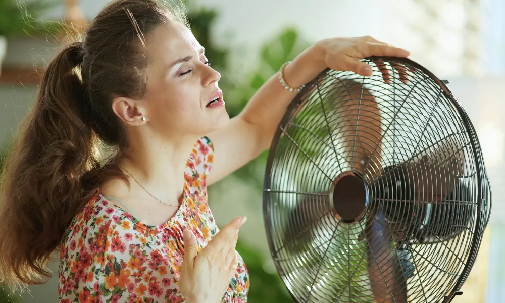 Ola de calor