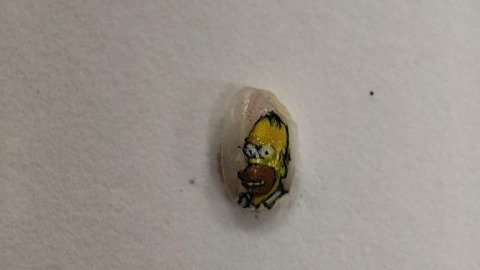 Retrato de Homer Simpson en un grano de arroz de Calasparra (foto: Ayuntamiento de Calasparra)