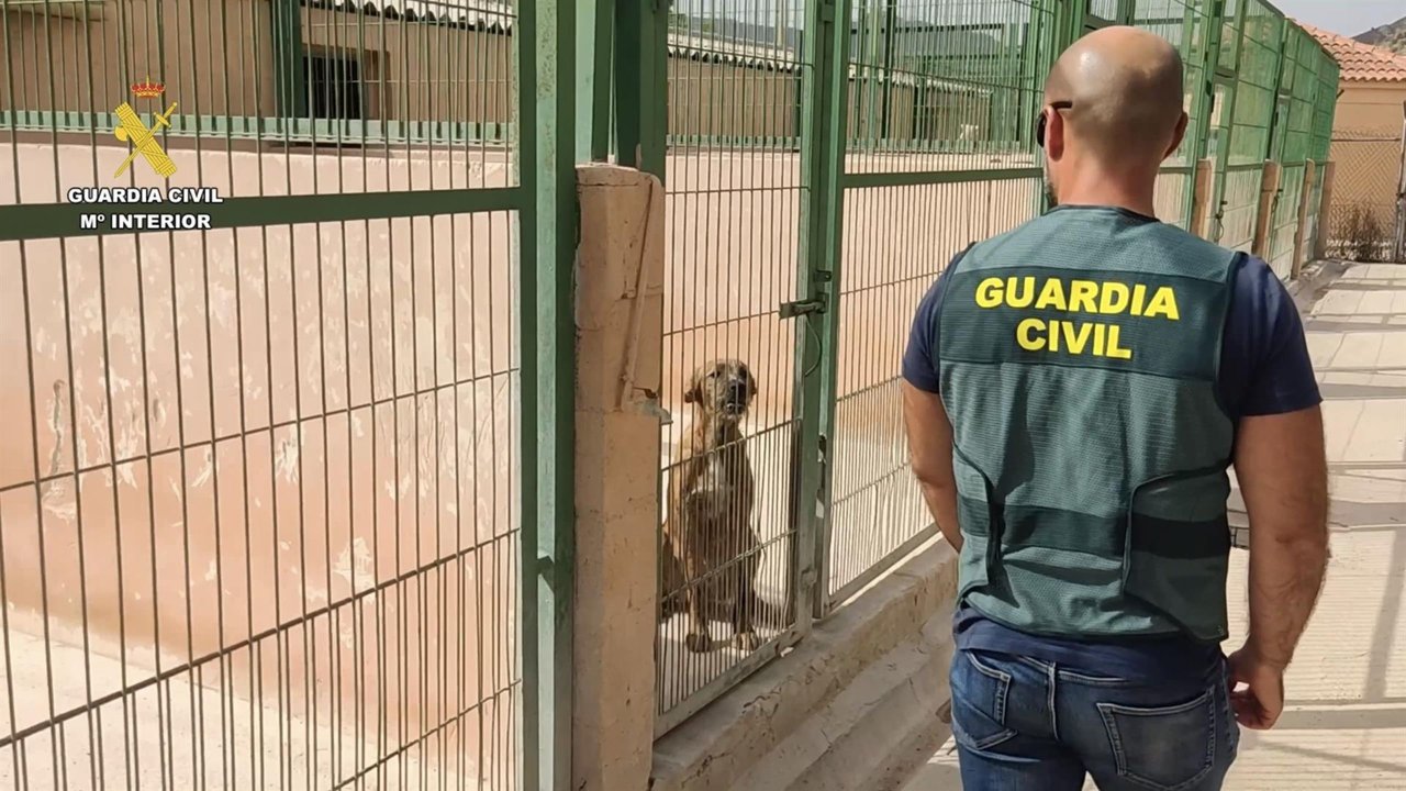 Operación 'Dogs rescue' en Ceutí