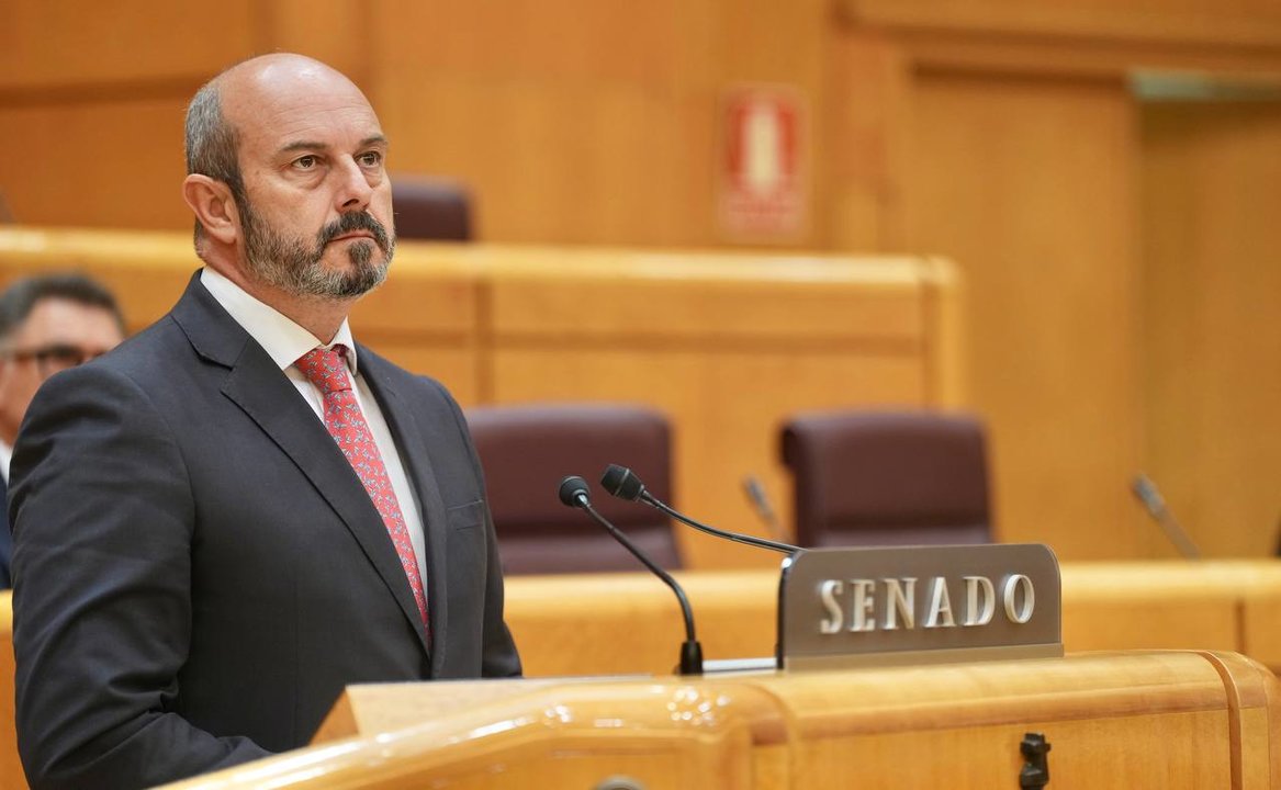 Pedro Rollán, en el Senado