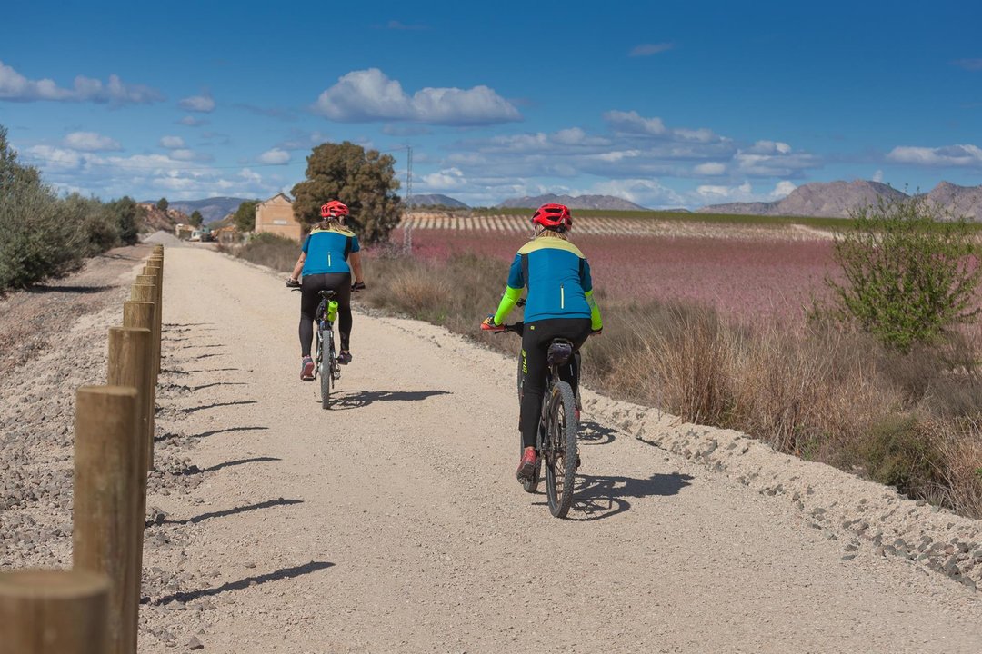 Ciclistas recorren la Vía Verde de la Floración