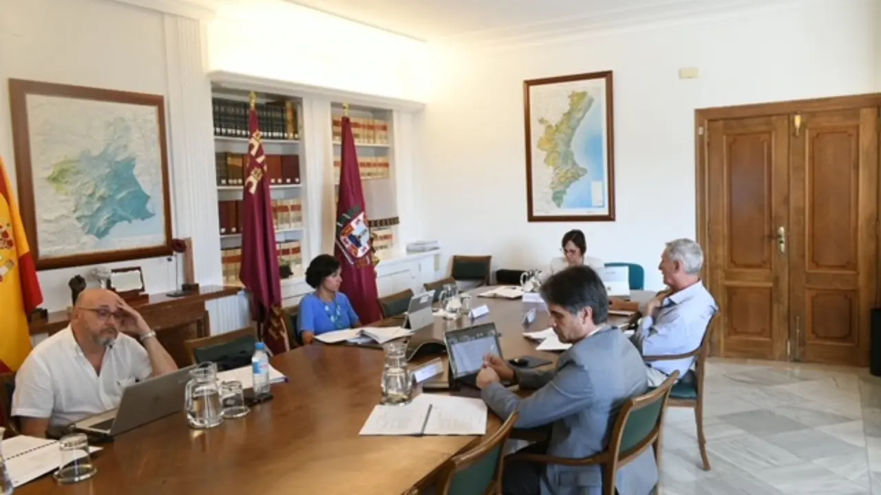 Reuni&oacute;n del comit&eacute; ejecutivo de la MCT
