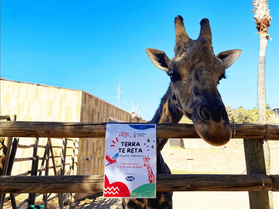 Una jirafa del parque junta a uno de los carteles de la iniciativa 'Terra te reta' (foto: Terra Natura Murcia)