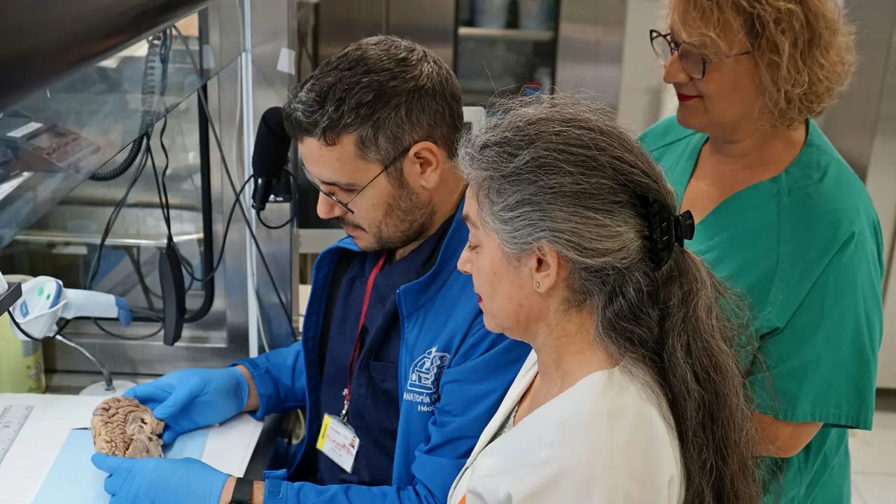 Profesionales del Banco de Cerebros en el laboratorio del hospital Virgen de la Arrixaca.
