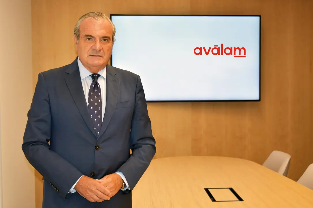 Luis Mart&iacute;nez de Salas, director general de Av&aacute;lam