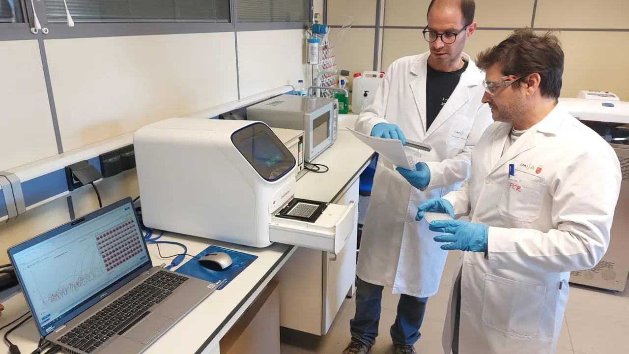 Investigadores del IMIDA, durante los trabajos de control sanitario de la vid.